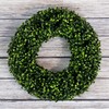 Nature Spring Boxwood Wreath, Artificial Wreath for the Front Door, Home Decor, UV Resistant - 16.5 Inches 690054AEN
